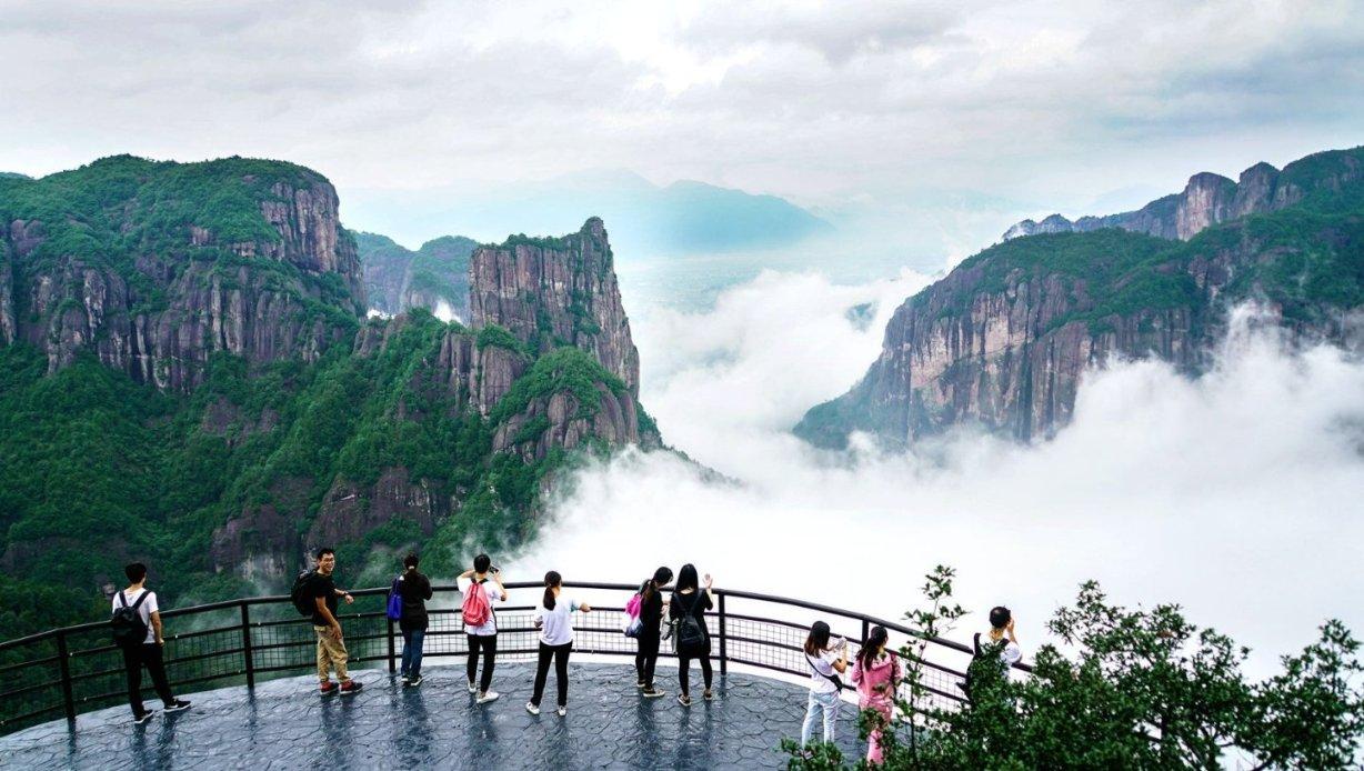 新春赏“梅”景!170多盆“大师级”盆景一次看过瘾